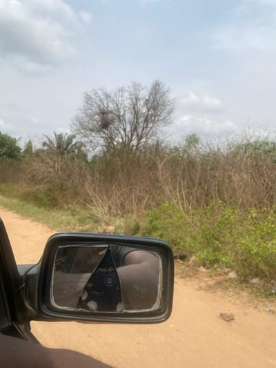 The image depicts a roadside environment in Sasaro, Nigeria, viewed from inside a vehicle. In the foreground, a black, rectangular side mirror of the vehicle is prominent, displaying a large crack across its glass surface, with a triangular piece of the mirror missing from the center, revealing the black plastic housing underneath. Reflections in the remaining mirror fragments show indistinct shapes, consistent with a limb and the interior of the vehicle.
The vehicle is situated on an unpaved, reddish-brown dirt road visible in the lower right and extending into the background. To the right of the mirror and alongside the road, the immediate environment consists of dry, sparse vegetation, including light green bushes and taller, straw-colored dried grass and brush. In the midground, a deciduous tree with bare branches stands, featuring a large, spherical nest-like structure within its upper canopy. To the far left, behind this tree, are other trees with green foliage, including at least one palm tree. The sky above is overcast with light gray and white clouds. No individuals or specific human actions are explicitly depicted.