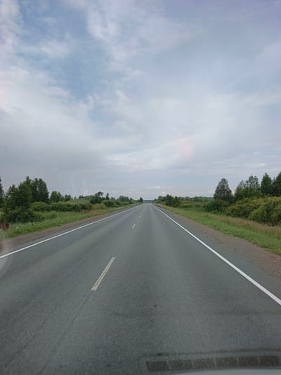 A straight, asphalt road stretches into the distance under a cloudy sky. The road is lined with white dashed lines on the left and a solid white line on the right. On either side of the road, there are grassy verges with scattered wildflowers, followed by dense green trees and bushes. The environment appears to be rural, possibly on the outskirts of Okonechnikova, Russia. There are no visible people or vehicles in the immediate foreground, but a few distant vehicles can be seen on the road ahead. The overall impression is one of a quiet, overcast day on a journey through the countryside.