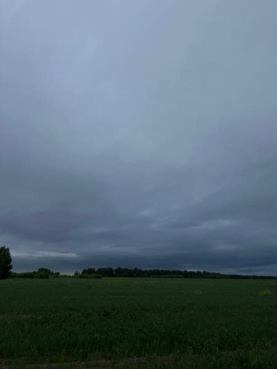 The image shows a wide, flat field of green grass stretching towards a line of dark green trees in the distance. Above the field, the sky is filled with heavy, dark gray clouds, suggesting an overcast or approaching storm. There is a lone tree on the left side of the frame, silhouetted against the sky. The lighting is dim, creating a somber mood. The location is identified as Shul'dikha, Russia. There are no people or visible actions taking place.