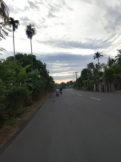 The image depicts a paved road in Meunasah Kumbang, Indonesia, curving to the left. Two individuals are riding motorcycles on the road. Dense green vegetation lines the left side of the road, with several tall palm trees interspersed among the foliage. The right side of the road features a line of trees and some structures, including corrugated metal buildings. Utility poles and overhead electrical wires are visible along the right side of the road. The sky is overcast with scattered clouds, and the light suggests either early morning or late afternoon. The overall scene conveys a rural or semi-rural setting.