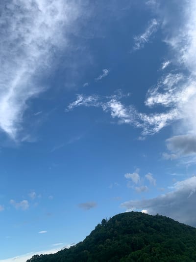 The image depicts a scene of a lush, dark green forested hillside against a vast, bright blue sky. The sky is populated with scattered white clouds, some wispy and feathery, others more dense and elongated, with a few darker, heavier clouds towards the top right. The dense foliage of the hillside dominates the right side of the frame, creating a strong contrast with the open sky. The perspective is tilted, giving a sense of looking up and across. No people or man-made objects are visible. The lighting suggests it is daytime, likely late afternoon or early evening given the deep shadows cast by the trees and the clear, bright sky. The overall mood is one of natural tranquility and expansive natural beauty. The image was taken in Khust, Ukraine. There is no visible text.