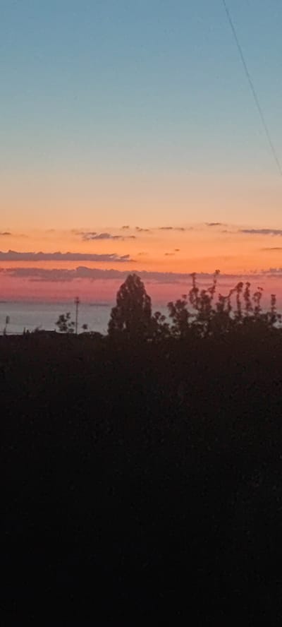 This media file depicts a sunset over a body of water, likely the Kremenchuk Reservoir, near Svitlovodsk, Ukraine. The sky transitions from a pale blue at the top to shades of orange and pink near the horizon, indicating either sunrise or sunset. Thin clouds are visible, tinged with the colors of the sunset.
In the middle ground, silhouetted against the vibrant sky, are trees and a tall, thin structure that appears to be a utility pole. The foreground is dominated by a dark, shadowy mass, which could be trees, bushes, or a field of vegetation, completely obscuring any details within it.
The overall mood is serene and peaceful, characteristic of a quiet moment at dusk. The location cues, such as the likely presence of a large body of water and vegetation typical of the region, along with the provided context of Svitlovodsk, Ukraine, place the scene in a natural, open setting. There is no visible text in the image.