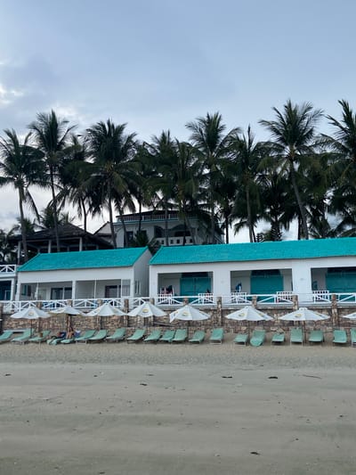 The image shows a beachfront resort in Đông Ninh Hòa, Vietnam. In the foreground, a sandy beach stretches across the frame. Behind the beach, a row of light green lounge chairs is set up, some with white umbrellas providing shade. Two people are lying on lounge chairs, a man and a woman. Behind the lounge chairs is a stone wall, and above that, a white building with bright turquoise roofs, featuring open doorways and balconies. In the background, a dense line of tall palm trees forms a natural barrier, with glimpses of more buildings peeking through the foliage. The sky above is overcast and a muted gray.