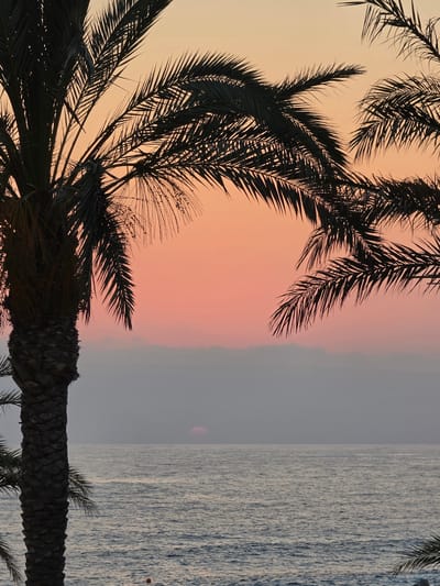 The image depicts a tranquil seascape at sunset, framed by the silhouetted fronds of palm trees in the foreground. The sky transitions from a soft orange at the horizon to a pale yellow at the top, suggesting the last moments of daylight. The sun, a small, muted red disk, is visible just above the hazy horizon line, partially obscured by a thin layer of clouds. The sea is calm, with gentle ripples reflecting the twilight sky. The left side of the image is dominated by the textured trunk of a palm tree, its rough bark and the dark green of its fronds creating a strong contrast against the soft hues of the sky. Another palm frond arcs into the frame from the right. In the lower right corner, a small orange buoy is visible in the water. The scene is located in the Hlorakas Community, Cyprus, known for its coastal beauty and Mediterranean climate.