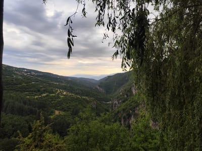 The image captures a panoramic view of a lush green valley with mountains in the distance. The sky is overcast with dramatic clouds, hinting at twilight or an approaching storm. The foreground is dominated by the branches and leaves of a weeping willow tree, obscuring parts of the scene.
To the left, a hillside dotted with a few buildings suggests a small village or settlement. The valley floor is densely forested, with winding paths visible through the trees. The terrain is rugged, with steep, rocky cliffs lining the sides of a gorge in the mid-ground.
The scene conveys a sense of natural beauty and perhaps a slightly wild or untamed environment. The presence of trees framing the view, the depth of the valley, and the distant mountains create a layered composition. The lighting suggests either early morning or late evening, contributing to the moody atmosphere. The location is identified as Kovachevitsa, Bulgaria.