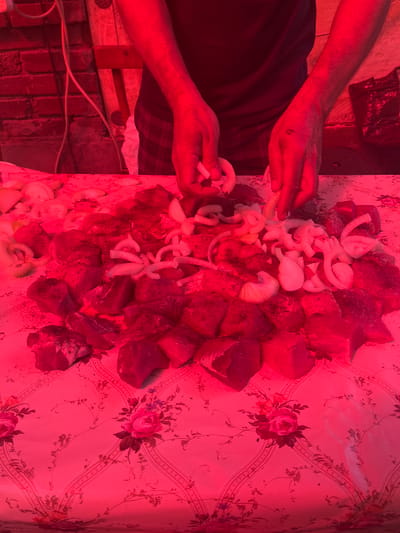 A person's hands are visible in the center of the frame, preparing raw meat and sliced onions on a table covered with a floral-patterned tablecloth. The scene is illuminated by a red light, casting a strong red hue over everything. The meat appears to be cut into chunks and seasoned, while the onions are thinly sliced. The background shows a brick wall, part of a person wearing a dark shirt and checkered pants, and some bags and containers. The overall impression is that of food preparation, possibly for a barbecue or outdoor meal, taking place in a rustic or outdoor setting. The location is identified as Yanovo-Grushevsky, Russia.