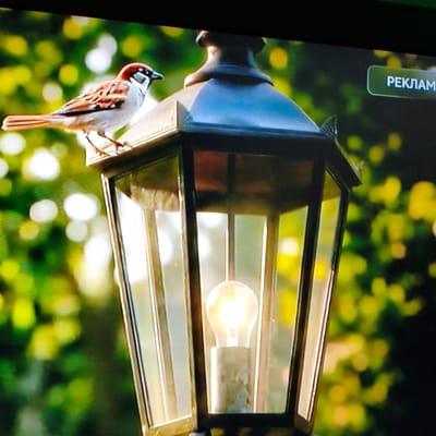 A sparrow perches on the metal top of a vintage lantern. The lantern is made of dark metal and glass, with a lit bulb inside. The background is a blur of green foliage and yellow sunlight, suggesting an outdoor setting. In the upper right corner of the image, a green rectangular button with white text that reads "РЕКЛАМА" is visible. This indicates that the image is likely a screenshot from a video that was paused during a commercial break, and the word "РЕКЛАМА" is the Russian word for "advertisement." The image does not contain any specific landmarks or features that would allow for the determination of its location within the city of Tohatin, Moldova.