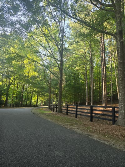 The image depicts an asphalt road curving through a wooded area in Alpharetta, United States. Tall trees with lush green foliage line the right side of the road, casting dappled sunlight. A black, three-rail fence runs parallel to the road on the right, separating it from the trees and undergrowth, which includes fallen leaves. The road is empty, and the environment appears serene. The time of day appears to be morning or late afternoon, given the angle of the sunlight.