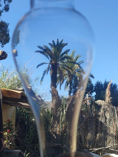 The image depicts an outdoor scene, viewed through a distorted glass object, possibly a bottle or a vase. The primary subjects in focus, despite the distortion, are palm trees with green fronds, set against a clear blue sky. To the left, there is vegetation, a wooden structure resembling a shed or lean-to, and a small plant with red flowers in a pot. In the background, further vegetation and a chain-link fence are visible, with distant hills or mountains in the far background. The lighting suggests a sunny day. No people are visible in the frame. The scene appears to be in a semi-tropical or arid environment. The location is identified as Santa Lucía de Tirajana, Spain.