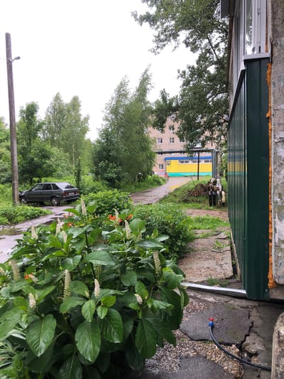 In an overcast outdoor scene in Safonovo, Russia, a dark green hatchback is parked on a wet, dirt road next to a concrete utility pole. Lush green foliage and trees surround the vehicle, with a building visible in the background. The foreground features a large bush with white, elongated flower spikes and broad green leaves. To the right, a section of a green metal fence is visible against a rough concrete wall, with orange insulation peeking out from the gap between them. A black hose with a red valve connector lies on the cracked pavement in front of the fence.