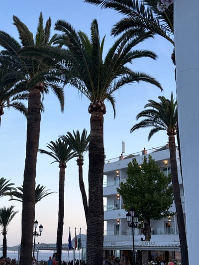 The image depicts a daytime scene in Nerja, Spain, likely along the Balcón de Europa promenade. Tall palm trees dominate the foreground, their fronds silhouetted against a clear blue sky. Behind the palm trees, a white multi-story building with balconies and numerous windows is visible. Below the building, a row of awnings indicates a commercial area, with signage for "BAR" and "CAFETERIA" clearly legible. Several people are seen in small groups, walking and interacting near the establishment. Flags are displayed on poles near the waterfront, suggesting a public space. The overall ambiance is one of a relaxed, sunny, Mediterranean town.