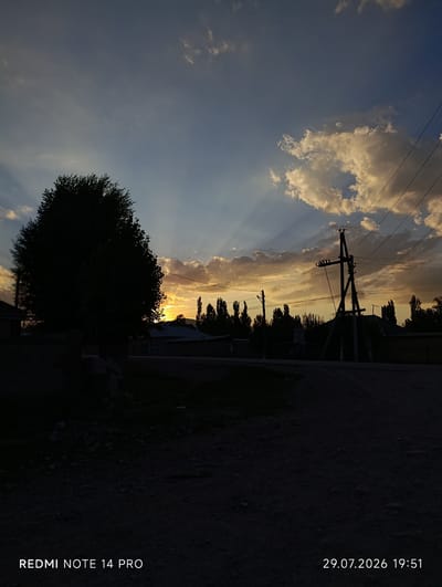This image shows a sunset scene in the city of Ak-Zhar, Kyrgyzstan. The sun is low on the horizon, casting a warm glow across the sky and illuminating the clouds. In the foreground, a large tree stands in silhouette, its branches stark against the colorful sky. A power pole with electrical lines runs through the scene, connecting to unseen structures. In the middle ground, several houses with distinct rooflines are visible, some with dark walls and others with lighter colored roofing. The ground in the foreground is a mix of dark soil and gravel. The overall atmosphere is peaceful and serene, capturing the quiet beauty of a rural evening. The timestamp "29.07.2026 19:51" and the text "REDMI NOTE 14 PRO" are present at the bottom of the image.