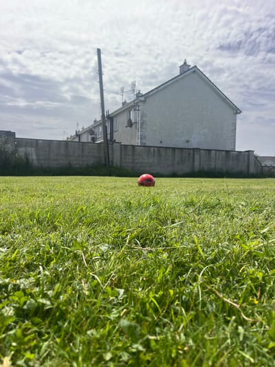 A low-angle, eye-level shot captures a bright red, textured ball resting on a lush green lawn in Portarlington, Ireland. The ball is positioned slightly off-center to the right, surrounded by blades of grass and clover. In the background, a grey, concrete wall runs horizontally across the frame, separating the lawn from a residential area. Behind the wall, a row of houses with white facades and dark roofs are visible under a cloudy, pale blue sky. A tall, dark grey utility pole stands prominently in the middle ground, to the left of the houses. The scene is illuminated by natural daylight, suggesting it is daytime.
