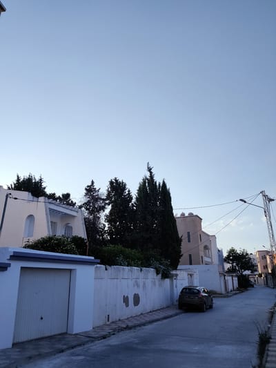This image depicts a street scene in what appears to be a residential area, possibly in Tunisia, given the context. The time of day is likely late afternoon or early evening, indicated by the soft, diffused light and the clear, pale blue sky with a few wispy clouds. The atmosphere is peaceful and quiet, suggesting a typical day in the neighborhood.
The foreground shows a paved street with a gray asphalt surface, bordered by sidewalks. On the left side of the street, a white wall with a dark blue trim runs along the property line. A closed white garage door is visible within this wall. Further down the wall, some patches of dark discoloration are present.
The middle ground features several houses and lush green trees. A light-colored house with arched windows and a patterned roofline is prominent on the left. Behind it, a dense cluster of tall, dark green trees, including cypress-like evergreens, creates a natural barrier. On the right side of the street, more houses are visible, varying in height and architectural style, some with flat roofs. A dark-colored car is parked on the street, facing away from the viewer. The license plate of the car shows Arabic script and numbers, "178 6685". A street light on a metal pole stands on the right, with wires extending across the street.
In the background, the street continues, lined with more buildings and trees, leading towards a distant horizon under the vast, clear sky. The overall impression is one of suburban tranquility, with the architecture and vegetation suggesting a Mediterranean or North African setting. No people are visible in the image.