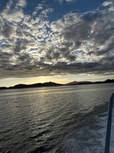 The image depicts an open water scene at sunrise or sunset, observed from a moving vessel within the coastal waters of Dumbéa, New Caledonia, France. The sky occupies the upper two-thirds of the frame, featuring a dense layer of altocumulus clouds with interspersed patches of clear blue. Low-angle sunlight, originating from the horizon, backlights the clouds, creating bright highlights and a golden glow along the horizon line. A dark, silhouetted mountainous coastline spans the horizon. The lower third of the image shows dark, rippled water, marked by a distinct white wake of disturbed water along the lower right edge, indicating the forward movement of a vessel. A light-colored, vertical metal boat railing is partially visible in the bottom right corner, alongside a thin, dark horizontal line, consistent with a fishing rod or boat rigging, extending from the right edge towards the image center. No human figures are present.