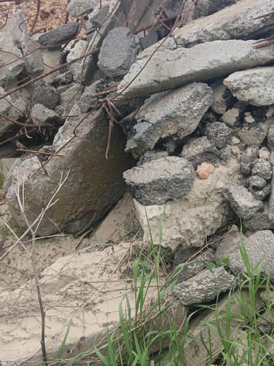 The image shows a pile of rubble consisting of broken concrete and asphalt fragments interspersed with rusted rebar, scattered dried vegetation, and fresh green grass shoots. The debris appears to be dumped on bare ground. There are no people visible. There is no evidence to confirm that this scene is in Яльгелево, Russia.