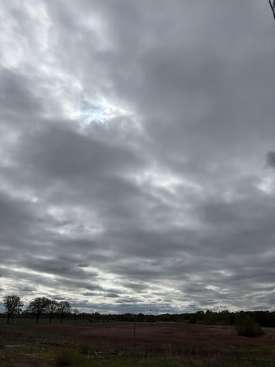 The image depicts a landscape under a cloudy sky, likely taken near Dobrovolsk, Russia, based on the prompt. The sky is predominantly covered with gray, striated clouds, with a bright patch indicating a possible break in the cloud cover. A field stretches across the horizon, transitioning from a darker, possibly forested area to a lighter, grassy expanse. Trees are visible along the lower portion of the frame. Utility poles can be seen running alongside the field.