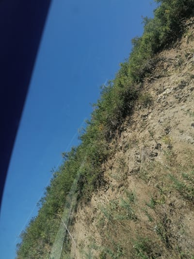The image shows a steep, rocky hillside covered with dense green foliage. The hillside is bathed in sunlight, casting shadows on the terrain. A dark blue shadow dominates the left side of the image, obscuring the upper portion of the hillside. The sky is a clear, vibrant blue. The angle of the photograph suggests it was taken from a moving vehicle, possibly a car, due to the slight distortion and glare on a reflective surface, likely a window. The scene appears to be a natural landscape, possibly a roadside embankment or a natural incline within the city of Severnoe, Kazakhstan. There are no people or man-made structures immediately visible.