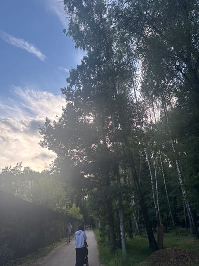 This media file depicts an outdoor scene in Trekhgorka, Russia. The image is oriented vertically, with the sky and trees taking up a significant portion of the frame. The sky is a vibrant blue, punctuated by wispy white clouds. Sunlight streams through the dense canopy of trees, creating a dappled effect and a lens flare in the center of the image. The trees themselves appear to be a mix of deciduous trees with full foliage and tall, slender birch trees with their characteristic white bark.

In the lower portion of the image, a paved path winds through the trees. A person is visible on the path, walking away from the viewer. They are wearing a light blue shirt and dark pants. Another person is further down the path, also walking. The path is bordered by greenery, suggesting a park or a well-maintained natural area. The overall atmosphere is serene and tranquil, characteristic of a pleasant day in a wooded environment. The time of day appears to be late afternoon or early evening, given the angle of the sun and the quality of the light. There is no visible text in the media file.