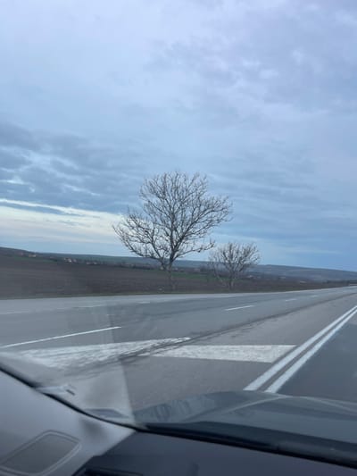 The image displays a road scene in the vicinity of Zvegor, Bulgaria, viewed from the interior of a vehicle. The lower foreground reveals a dark vehicle dashboard and windshield, exhibiting reflections. An asphalt two-lane road occupies the mid-ground, delineated by a solid white line on the right shoulder and a double solid white line marking the center. A partial white chevron-style road marking is visible on the pavement. To the left of the road, a large expanse of dark brown, tilled or fallow agricultural land is present. Further in the background, a cluster of buildings with reddish-brown roofs, indicative of a village, is visible against a backdrop of rolling hills. Two bare deciduous trees, lacking foliage, stand between the road and the field. The sky is overcast with light blue-grey clouds. No individuals or specific actions are directly depicted.