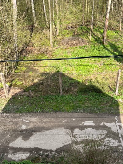 The image shows a view from above, likely from an elevated position such as a building. The scene includes a forest area with several trees visible on the left, a chain-link fence running somewhat diagonally across the center of the frame, and a paved or dirt road on the right. There are electrical wires running diagonally near the fence. Part of the fence is casting a shadow. The location may be in the city of Ильинская Поляна Снт, Russia, based on the user’s information.