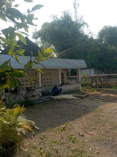 The image depicts an outdoor scene in Stiaji, Indonesia, bathed in bright sunlight. In the foreground, lush green foliage, possibly from a palm plant, partially obscures the view. To the left, a brown bicycle with a red frame is parked next to a building with a white facade and a dark, angled roof. The building has openings with decorative brickwork. A person wearing a blue shirt and dark pants is crouched on the ground in front of the building, interacting with a pile of long, cylindrical objects that appear to be made of bamboo or a similar material. These objects are arranged on the ground, with some partially stacked. Behind the building, a dense arrangement of trees creates a verdant backdrop. A telecommunications tower is visible above the trees in the distance. The ground is a mix of dirt and sparse vegetation. To the right of the building, a wooden fence-like structure is visible.