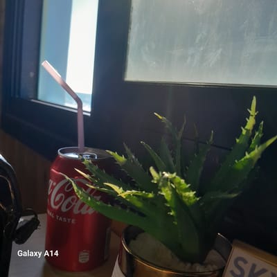 A red Coca-Cola can sits on a surface indoors next to a window. A pink straw extends from the can. A potted aloe-like plant is situated behind the can. The location is Al-Mawasi, Unknown.