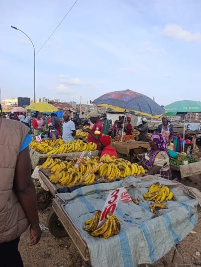 The image depicts an outdoor market scene in Kiuu ward, Kenya, under a partly cloudy sky. In the foreground, a person's back is visible on the left, wearing a brown puffer vest. A wooden cart covered with a blue and white striped tarp displays several bunches of ripe yellow bananas, some with dark spots, and a white price sign indicating "3/10." Another small pile of bananas is behind it.
The midground features numerous market stalls and wooden carts, all heavily laden with large quantities of bright yellow bananas, many also bearing white price signs with red numerals. Multiple individuals populate this area. A woman wearing a purple headscarf and a patterned dress sits behind a stall on the right, which also displays green leafy vegetables. Other people, including a man in a light blue shirt and a camouflage bucket hat, and another man in a red and white jersey, are visible among the stalls. Several large market umbrellas provide shade; one is blue with a colorful pattern, and another green umbrella bears the "M-Pesa" logo.
In the background, more market activity and structures are visible, leading to multi-story buildings in the distance. A tall, grey street light pole with a curved arm is prominent on the far left, and a thin overhead wire crosses the upper sky. The ground surface appears to be unpaved dirt.