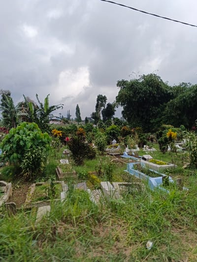 This image depicts an overgrown cemetery located in Vientiane Capital, Laos, under an overcast sky. Numerous graves and tombs of varying designs are scattered across undulating terrain, interspersed with dense vegetation. The graves include simple concrete rectangular outlines, raised stone or concrete structures, and several distinctly light-blue painted grave surrounds. Some tombs feature small, ornate, white decorative elements resembling miniature houses or shrines. The ground is covered with tall, green grass and various shrubs, including those with yellow and red flowers. Taller trees, including banana plants, broadleaf trees, and distant evergreens, frame the background. A dark power line extends horizontally across the top portion of the frame. No individuals are visible in the scene.