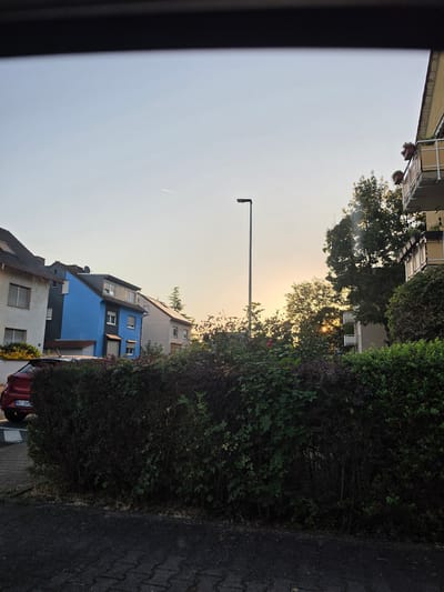 The image depicts a street scene in Bischofsheim, Germany, during the golden hour. In the foreground, a dark asphalt street with a paved border is visible. A dense, dark green hedge runs along the street, obscuring much of what lies behind it. To the left, the rear of a red car with a license plate partially visible is parked on a paved area.

Beyond the hedge, several residential buildings are visible. On the left, a light-colored building with windows and a sloping roof is present. Adjacent to it, a vibrant blue building with dark gray and white accents stands out. Further to the right, a lighter colored building with multiple windows and a balcony with planters can be seen. A tall lamppost stands near the blue building.

The background is dominated by trees, some of which are silhouetted against a soft, pale orange and yellow sky, indicating the setting or rising sun. Sunbeams are visible filtering through the leaves of the trees. A faint contrail from an aircraft is discernible in the upper left portion of the sky. The overall impression is a quiet residential area bathed in warm evening light.