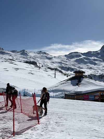 The image depicts a snow-covered mountain landscape under a clear blue sky with sparse, wispy clouds. The scene is located in the Plan Maison area of Breuil-Cervinia, within the municipality of Valtournenche, Italy.
In the foreground, a red mesh safety fence with black support poles extends from the left. To the left of this fence, two individuals are partially visible, wearing dark clothing and backpacks, traversing the snow. One appears to be using ski poles. To the right of the fence, a third individual, seen from behind, walks rightward on the snow, leading a light-colored dog (likely a Labrador Retriever) on a leash. This individual wears a light-colored jacket, dark pants, and a backpack.
In the midground, to the right, a distinctive hexagonal wooden building with a pointed, dark-shingled roof sits atop a snow-covered mound. Footprints lead up to this structure. Below and to the right of this building, a longer, flatter building is visible, featuring signs that read "OYSTER MOUNTAIN," "MOUNTAIN," and "ITALIAN STREET FOOD." This building is identified as part of the Chalet Etoile restaurant complex. Several ski lift pylons and cables are visible ascending the snow-covered slopes in the background, with multiple ski runs carved into the terrain. The entire landscape is blanketed in white snow, indicating a high-altitude winter environment.