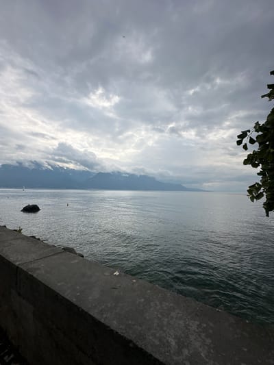 The image displays a wide view of Lake Geneva (Lac Léman) from the city of Vevey, Switzerland, under an overcast sky.

In the immediate foreground, a dark grey concrete retaining wall or embankment runs horizontally across the bottom third of the frame. The wall exhibits signs of weathering and light discoloration. To the far right, a cluster of dark green leaves from an unseen tree branch partially enters the frame from the top.

The midground is dominated by the calm, grey-blue water of Lake Geneva, showing subtle ripples across its surface. In the left portion of the lake, a dark, low-lying rock formation is visible. Further out from the shore, two small yellow buoys are spaced in the water. Towards the far left of the lake, a white sailboat with a visible mast and sail is present.

The background features a range of mountains, their lower slopes visible but their peaks largely obscured by thick, low-hanging grey clouds. These clouds blend into the extensive overcast sky that fills the upper two-thirds of the image, showing varying densities and light penetration. A small, dark, unidentifiable flying object is discernable in the upper-center portion of the sky.

No individuals or specific actions are depicted in the scene.