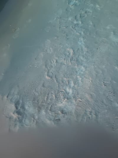 The image is an overhead, close-up view of a muddy, uneven surface. The mud appears to be saturated, with a bluish-gray hue. There are numerous indentations and footprints visible within the mud, suggesting recent activity. The texture of the mud is varied, with some areas appearing smoother and others more clumpy and textured. The lower portion of the image transitions into a darker, more uniform gray area that is out of focus, possibly representing a further area of mud or water. The scene is devoid of any identifying landmarks or structures that would definitively place it in Motornoe, Russia, beyond the information provided. The lighting appears to be diffused and somewhat overcast.