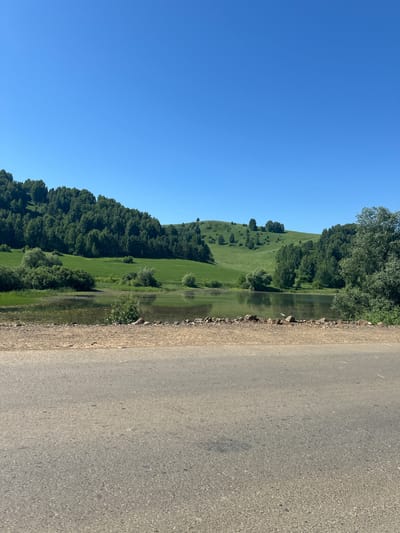 This image depicts a serene, natural landscape under a clear, bright blue sky. In the foreground, a section of an asphalt road runs horizontally across the bottom of the frame. Adjacent to the road, a gravelly embankment separates it from a body of water. This water appears to be a lake or a wide pond, with murky green water reflecting the surrounding greenery. Along the edge of the water, reeds and lush vegetation grow.

Beyond the water, rolling green hills dominate the midground and background. These hills are covered in vibrant green grass and dotted with various trees. A dense forest of deciduous trees, primarily green with some lighter foliage, blankets the lower slopes of the hills. Higher up, the hills are more open, with scattered trees and undulating terrain. The sky above is a vast expanse of uninterrupted blue, suggesting a sunny day. The overall scene evokes a sense of rural tranquility and natural beauty. The location is identified as Altaiskoe, Russia, indicating a geographical context of rolling hills and natural water bodies typical of the region.