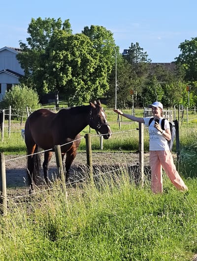In Norrköping, Sweden, a brown horse stands in a fenced pasture. A young woman wearing a white t-shirt, light pink pants, and a white baseball cap is interacting with the horse. She is holding a smartphone and reaching her hand out towards the horse. The background shows a suburban area with buildings, trees, and a clear blue sky. The scene is set on a sunny day.