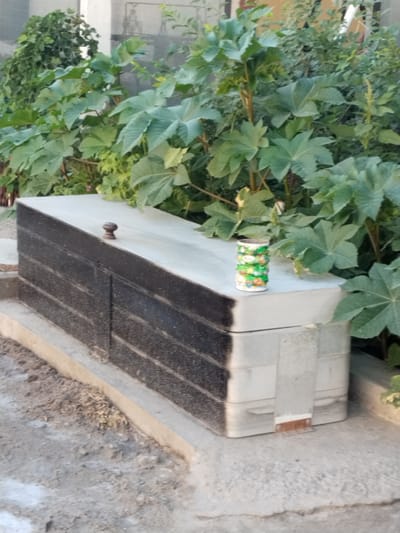 In Chalysh, Uzbekistan, a low-lying concrete structure, possibly a tomb or memorial, is situated outdoors. The structure is rectangular and elongated, with a textured, dark gray front panel marked by horizontal lines and a lighter gray top surface. A small, dark wooden knob protrudes from the center of the top. On the right side of the top surface, a small, cylindrical object with a colorful, patterned label, resembling a can of food or drink, is placed. The structure is surrounded by a rough, light-colored concrete base and sits adjacent to a patch of dry, loose soil and debris. Lush green foliage, with large, distinct leaves, grows densely behind and around the structure, indicating an outdoor, possibly garden or yard setting. The background consists of muted architectural elements, suggesting a built environment.