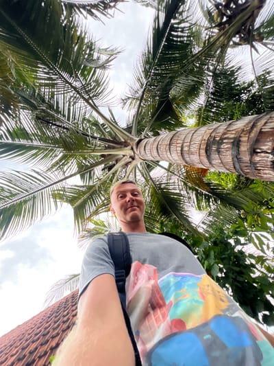 A low-angle shot shows a man positioned to the right of a tall palm tree. The palm tree's trunk extends vertically upward, with numerous green fronds radiating outward against a cloudy sky. The man is wearing a grey t-shirt with a colorful design and a black strap across his shoulder. He gazes towards the camera with a slight smile. The composition emphasizes the height of the palm tree and the unusual perspective.