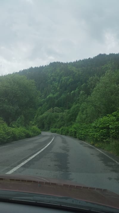 The image depicts a view from inside a vehicle, likely a car, driving on a road. The road surface appears wet. To the right, a portion of the car's dashboard and frame are visible. The road curves to the left. On the left side of the road, there is a dense, green forested area. The sky is overcast with grey clouds. Without specific location information in the image, pinpointing the precise location as Kostylivka, Ukraine is not possible.