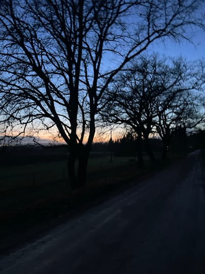 The image, correctly viewed, depicts a tranquil twilight landscape in the rural surroundings of Montalcino, Italy. On the left, a line of mature, deciduous trees with intricate, bare branches stands silhouetted against the sky, their dark forms creating a striking contrast. Their leafless state suggests either winter or early spring.
The sky above displays a beautiful gradient of colors characteristic of dawn or dusk, transitioning from a deep, rich blue at the zenith to softer hues of pale blue, orange, and faint pink closer to the horizon. This twilight glow subtly illuminates the distant landscape.
To the right of the trees, a dark, unlit road or path extends vertically into the distance, occupying the right side of the frame. Beyond the immediate foreground, a dark and distant landscape, possibly composed of fields or rolling hills, can be vaguely discerned where it meets the horizon. Faint, scattered pinpricks of artificial light are visible on the far horizon line, hinting at a distant town or scattered habitations.
The scene captures a moment of quiet beauty, devoid of explicit activity or people. The overall impression is one of peaceful solitude and the natural elegance of the Tuscan countryside transitioning between day and night. There is no visible text in the image.