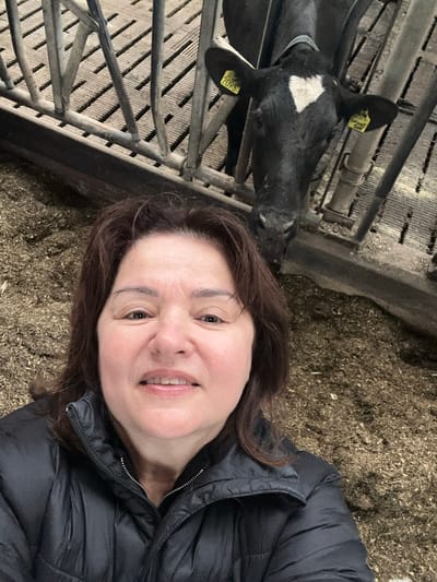 A woman with shoulder-length brown hair, wearing a black puffer jacket, is taking a selfie in a barn. She is smiling and looking at the camera. Behind her, a black and white cow with ear tags is visible. The cow's head is lowered, and it appears to be eating. The floor of the barn is covered in wood shavings or straw. A metal fence separates the woman and the cow. The scene suggests an agricultural setting, likely a farm or dairy in Wilhelminaoord, Netherlands.