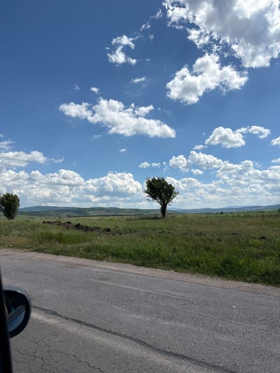 The image shows a rural landscape with a road running along the right side. The road is paved with asphalt and shows signs of wear. The landscape to the left of the road is covered in green grass and vegetation, with a single tree standing in the middle of the field. The background features a clear blue sky filled with white cumulus clouds. The presence of the car mirror suggests that the photo was taken from within a vehicle. The image is reminiscent of the area of Meshtitsa, Bulgaria.