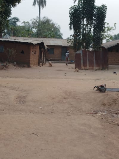 A rural landscape reveals simple, earthen structures with corrugated metal roofs under an overcast sky. A figure walks between the buildings, accompanied by dogs. A chainsaw rests on the sandy ground, contrasting with the rustic setting. The scene conveys a sense of everyday life in a village environment.