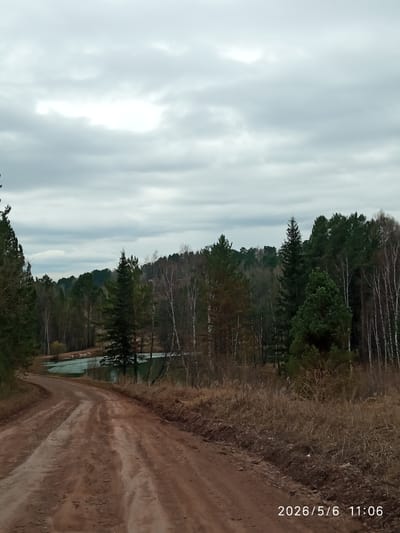 The image shows a dirt road leading into a forest under a cloudy sky. The road is reddish-brown, and there is dry vegetation on either side. A body of water, possibly a small lake or pond, is visible through the trees in the background. The forest consists of a mix of deciduous and evergreen trees. The date and time stamp "2026/5/6 11:06" is present in the lower right corner. The location is Sorokino, Russia. There is no information about people, subjects, objects, actions, or interactions, and they are not visible in the image.