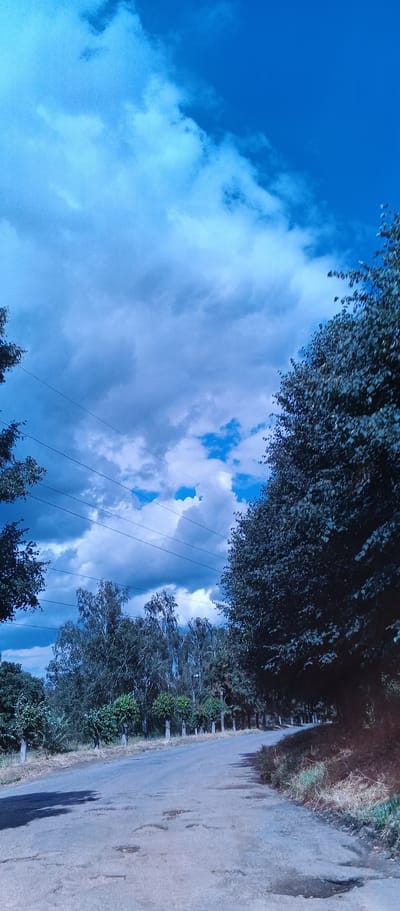 The image depicts a paved road in Kholodnianske, Ukraine, curving to the right and lined with trees. The road surface appears weathered and shows numerous potholes. Overhead power lines are visible, stretching across the frame. The sky is predominantly blue with dramatic, dark clouds interspersed with patches of bright sky. The trees on either side of the road are dense and leafy, with some appearing to be ornamental, planted in a row along the roadside. The overall impression is of a somewhat neglected, rural or semi-rural road under a dynamic sky.
