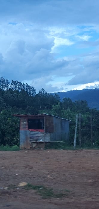 An outdoor scene features a corrugated metal shack with a red-trimmed window along a dirt road. A dense, dark green forest ascends to a ridgeline in the background. A cloudy sky dominates the left side, with patches of blue visible amidst the white and gray clouds. The landscape is overcast and likely experiencing or about to experience rain.