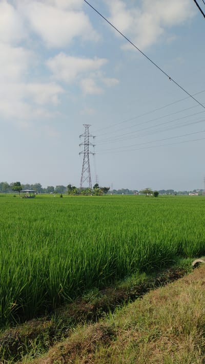The image shows a vibrant green rice paddy field under a bright blue sky with scattered white clouds. In the background, a tall, lattice-style electricity pylon stands prominently, with multiple power lines stretching across the frame. To the left of the pylon, a small, simple wooden shelter with a thatched roof is visible amidst trees and vegetation. The field extends to the horizon, where more trees and a few distant buildings suggest a rural or semi-rural setting. The foreground features a dirt path bordering the rice field, with dry grass and weeds. The scene appears to be located in or around Banjarsari, Indonesia, given the presence of rice paddies, tropical vegetation, and power infrastructure typical of such regions. There are no people or animals visible in the image.