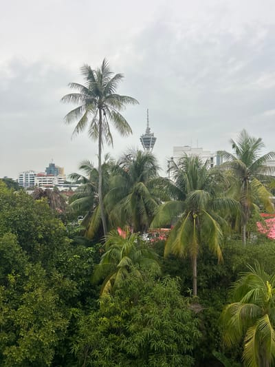 The image captures a view of Alor Setar, Malaysia, on an overcast day. In the background, the Alor Setar Tower, a prominent telecommunications tower, stands tall against the sky. Several buildings, including a multi-story white building with numerous windows and a building with a red roof, are visible amidst the urban landscape. The foreground and midground are dominated by lush green trees and palm trees, some with coconuts. The dense foliage partially obscures the view of the city. The overall scene suggests a tropical urban environment where nature and development coexist.