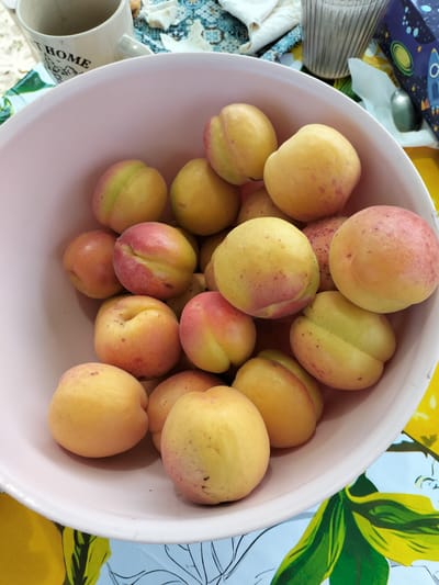 A pale pink bowl overflows with ripe apricots. The apricots vary in color, with some being a solid golden yellow, while others display a rosy blush. Their skin is smooth, with a few showing small, dark speckles. The bowl is placed on a table covered with a colorful tablecloth featuring a vibrant yellow and green lemon pattern and a blue and white geometric design. In the background, a white ceramic mug with the text "HOME" printed in black lettering is visible. Beside the mug, a tall, ribbed glass container and a dark blue box adorned with cartoon rockets and stars are also present. The scene appears to be set outdoors, likely during daytime, given the bright lighting. There are no people visible, and the overall impression is one of abundance and a relaxed, possibly picnic-like, setting in Kudashivka, Ukraine.