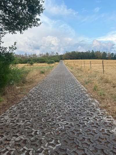 This is a landscape photograph taken in Wadern, Germany. The image features a paved pathway made of interlocking grey concrete blocks, leading into the distance. The path is flanked by dry, golden grass and scattered bushes. In the background, a dense line of trees forms a dark green horizon against a partly cloudy sky with shades of blue, grey, and white. A simple wire fence with posts runs along the right side of the field, parallel to the path. The lighting suggests it is daytime, possibly late afternoon. There are no people or animals visible in the frame.