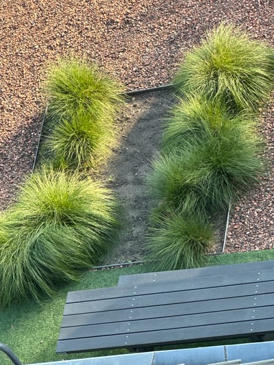 The image shows an aerial view of a garden bed with ornamental grass plants. The garden bed is rectangular and filled with dark soil. The grass is a bright green and appears to be a clump-forming variety. Around the garden bed, there is a border of small, reddish-brown gravel. To the right of the garden bed, there is a section of artificial green turf and a dark wooden bench with visible screws. The overall setting suggests a modern outdoor space, possibly a backyard or public area. The location is identified as Staphorst, Netherlands. No people or specific actions are depicted.